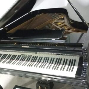 Piano de cauda preto - Petrof modelo III chipandali