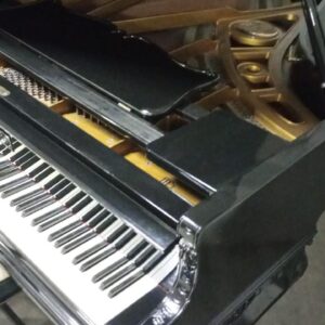 Piano de cauda preto - Petrof modelo III chipandali